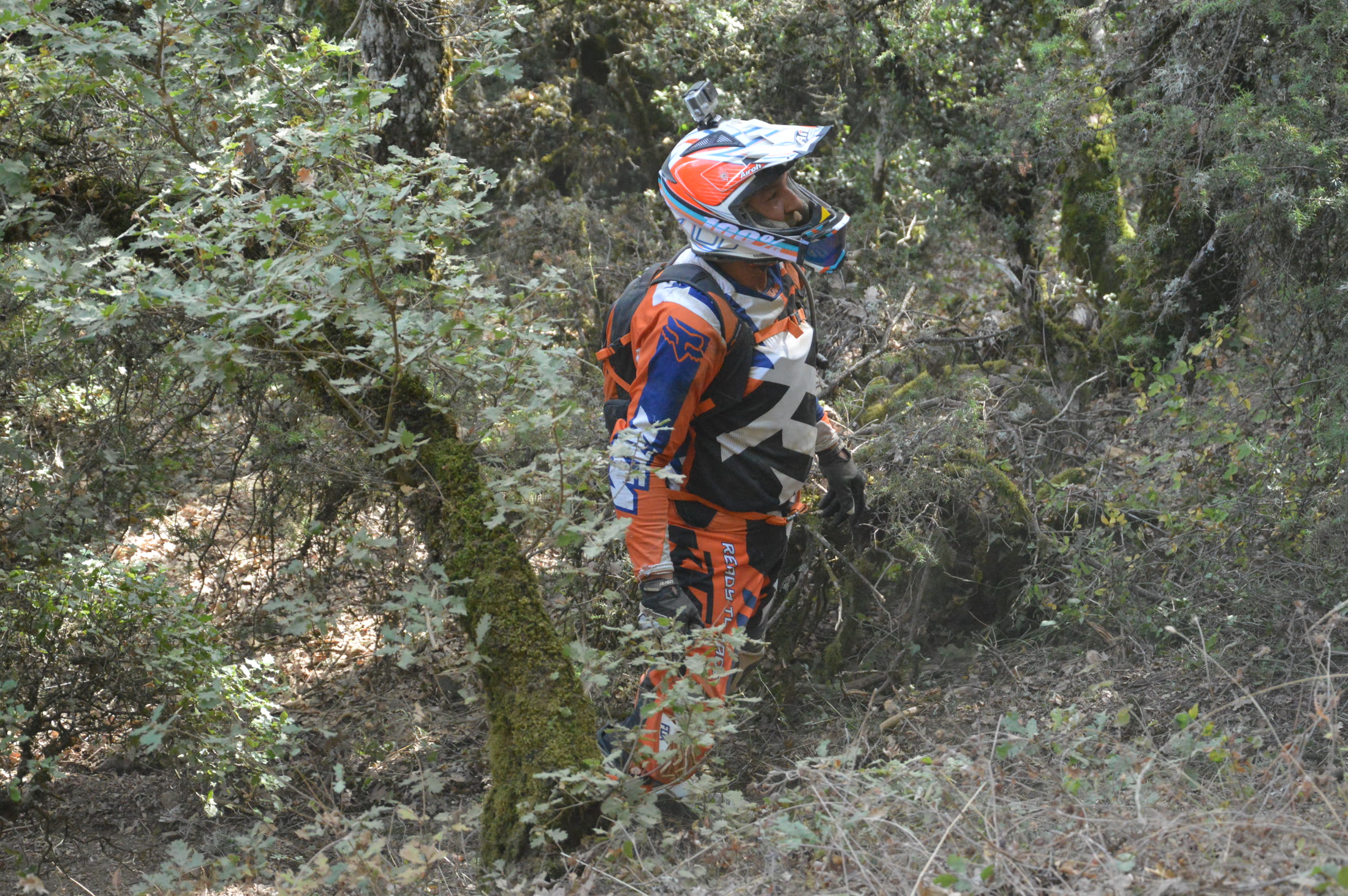 Motorcycle rider inspecting the route in a wooded mountain section